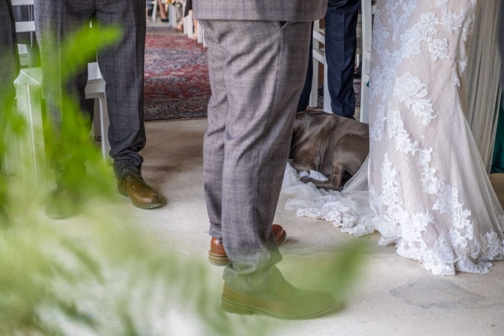 Wedding Photography UK Wide Wilde Lodge Wedding Photographer with Ellie & Jacob 15 Wedding Photography UK Wide 074 AMPC Wilde Lodge Wedding Photographer AM60881 Col
