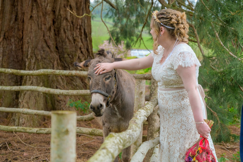 Wedding Photography UK Wide Barn wedding at The Hay Barn Herefordshire with Anwen & Leighton 49 Wedding Photography UK Wide 050 AMPC Hay Barn Herefordshire Wedding Photographer AM79648 Col