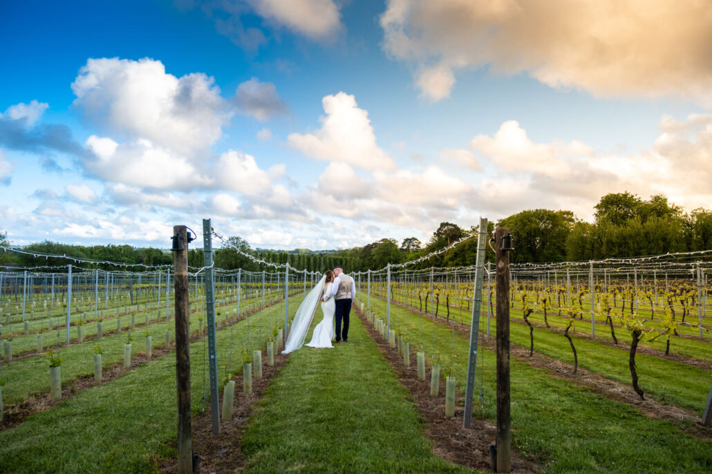 Wedding Photography UK Wide Llanerch Vineyard Hotel Wedding Photographer with Carys and Spencer 113 Wedding Photography UK Wide 0113 Llanerch Vineyard Hotel Wedding Photographer