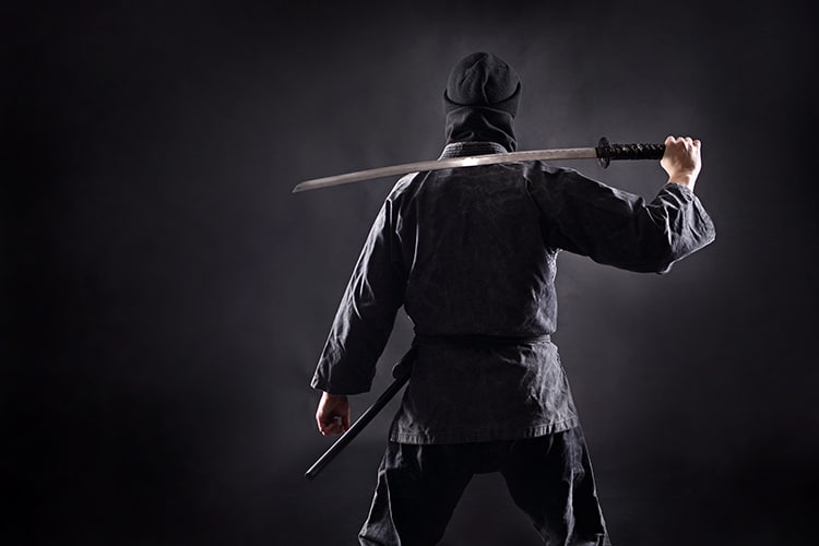 ninja-studies-degree-mei-university-1 Ninja