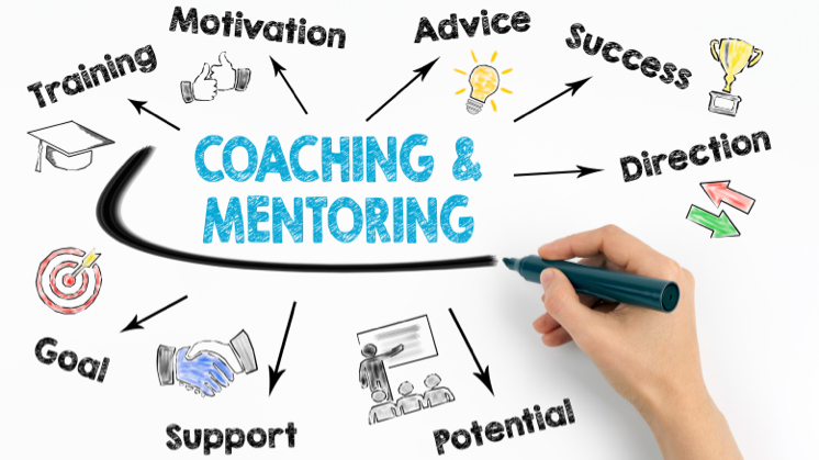 Mentoring Coaching Training – What is the difference? Mentoring Coaching Training - What is the difference?
