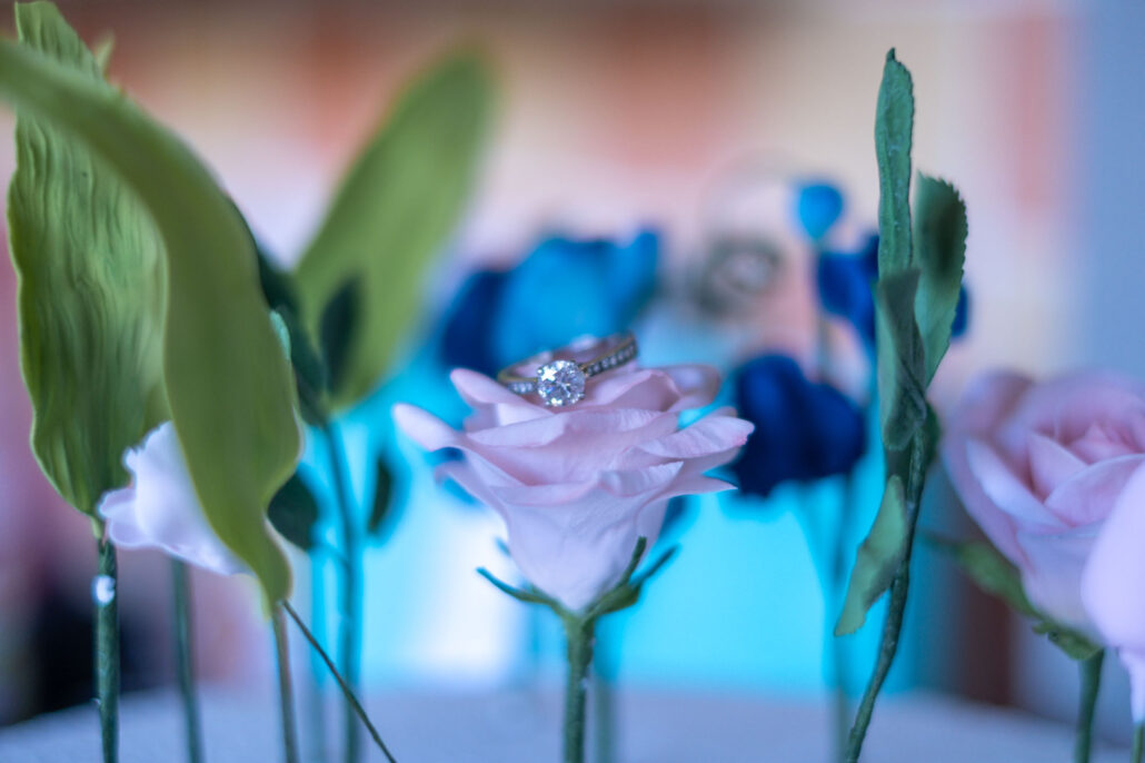 Wedding Photography UK Wide Sant Ffraed House Wedding Venue with Andrew Miller Photography 4 Wedding Photography UK Wide 0103 Sant Ffraed House Wedding Venue with Andrew Miller Photography