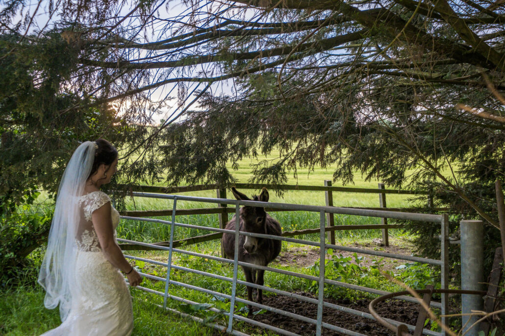 Wedding Photography UK Wide 086 AMPC Clearwell Castle Wedding Photography Bristol Wedding Photographer981 AMPC Clearwell Castle Bristol Wedding Photographer AM80771 col col