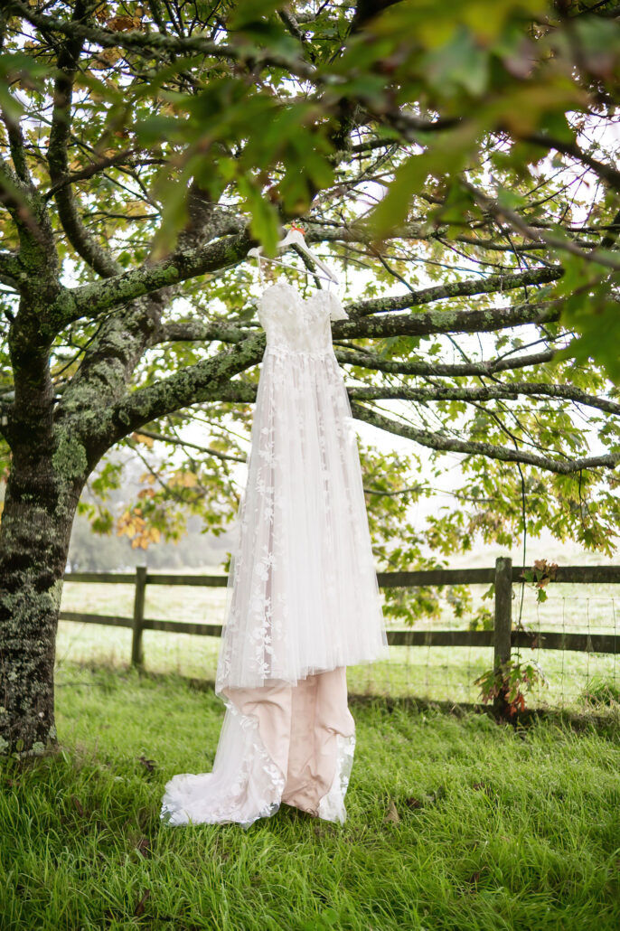 Wedding Photography UK Wide Ceri & Jay at The Amazing Fairyhill Wedding Venue Gower 13 Wedding Photography UK Wide 013 AMPC Fairyhill Wedding Venue Gower Wedding Photography Bristol Wedding Photographer AM89204 Col