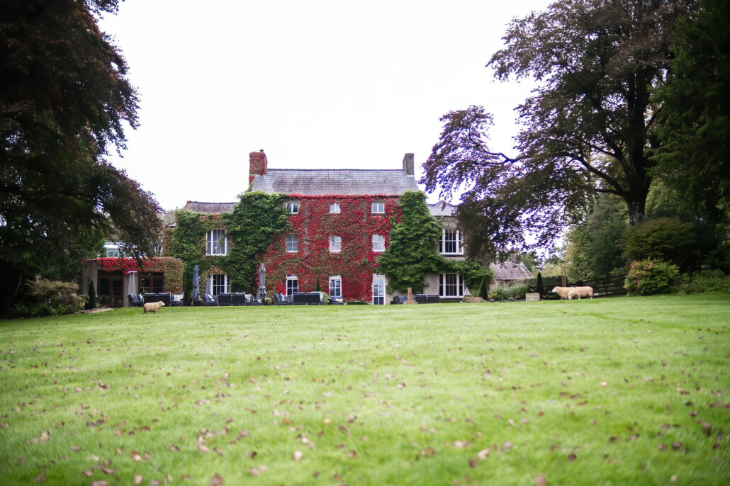 Wedding Photography UK Wide Fairyhill Wedding Venue Gower - Stunning Wedding Venue for Couples 19 Wedding Photography UK Wide 049 AMPC Fairyhill Wedding Venue Gower Wedding Photography Bristol Wedding Photographer AM89342 Col