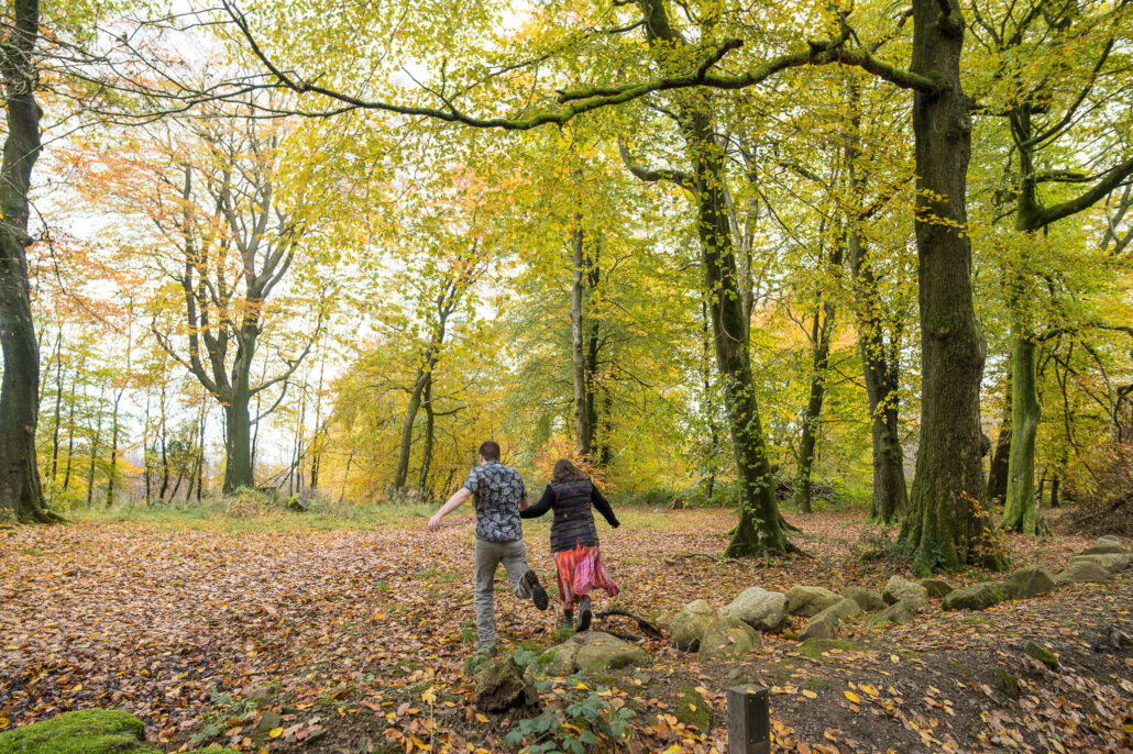 Wedding Photography UK Wide Autumnal Pre Wedding Shoot with Andrew Miller Photography 17 Wedding Photography UK Wide 032 AMPC Autumnal Pre Wedding Shoot Bristol Wedding Photographer032 AMPC Bristol Wedding Photographer AM87765 col col