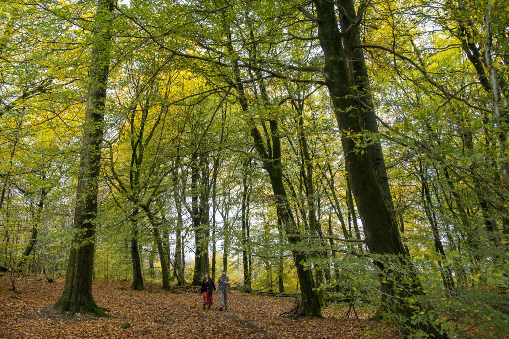 Wedding Photography UK Wide Autumnal Pre Wedding Shoot with Andrew Miller Photography 5 Wedding Photography UK Wide 036 AMPC Autumnal Pre Wedding Shoot Bristol Wedding Photographer036 AMPC Bristol Wedding Photographer AM87800 col col