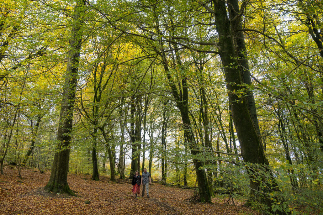 Wedding Photography UK Wide Autumnal Pre Wedding Shoot with Andrew Miller Photography 3 Wedding Photography UK Wide 037 AMPC Autumnal Pre Wedding Shoot Bristol Wedding Photographer037 AMPC Bristol Wedding Photographer AM87809 col col