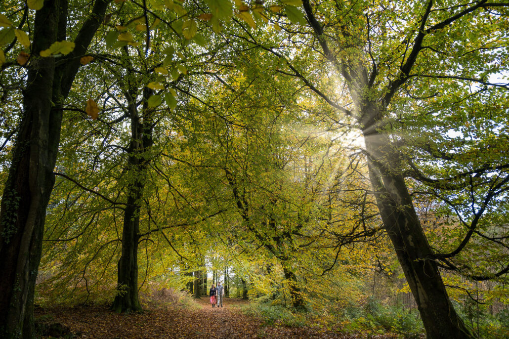 Wedding Photography UK Wide Autumnal Pre Wedding Shoot with Andrew Miller Photography 1 Autumnal Pre Wedding Shoot