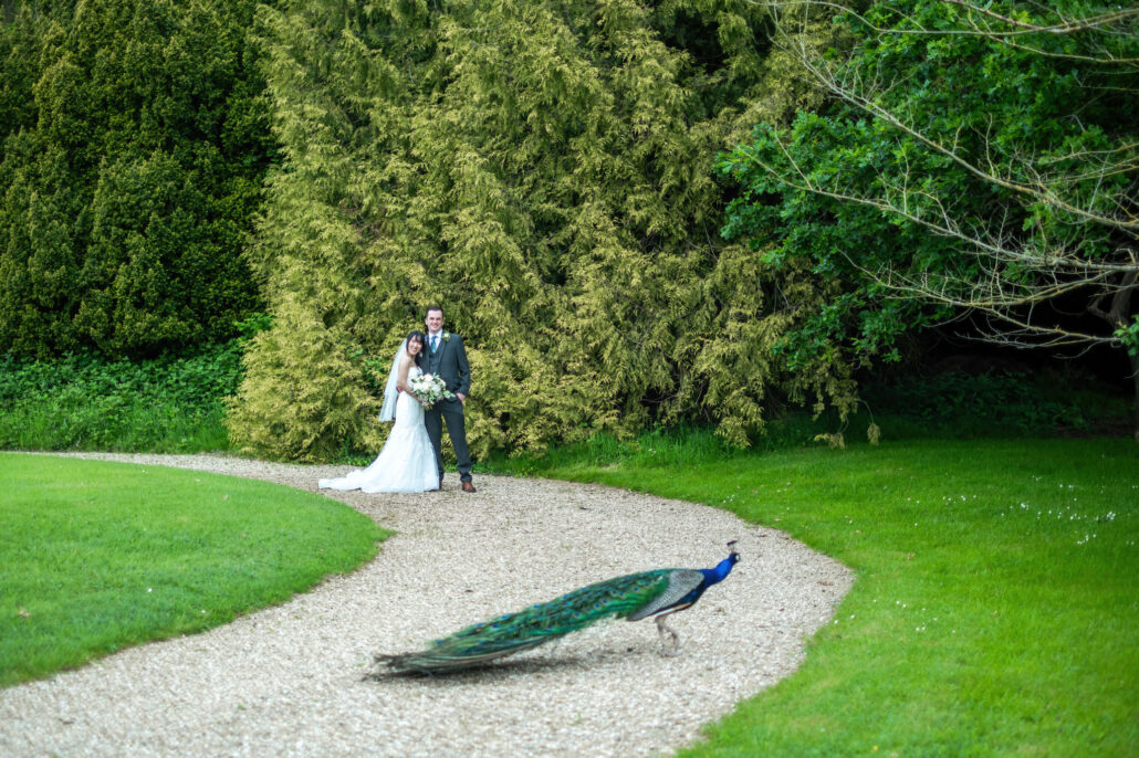 Wedding Photography UK Wide Orchard Leigh Estate Wedding Photographer by Andrew Miller Photography 68 Wedding Photography UK Wide 068 AMPC Bristol Wedding Photographer 578 AMPC Orchard Leigh Estate Wedding Photographer AMP12618 Col DeNoiseAI standard Col