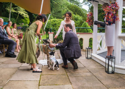Wedding Photography UK Wide Caer Llan Wedding Photographer 23 Caer Llan Wedding Photographer