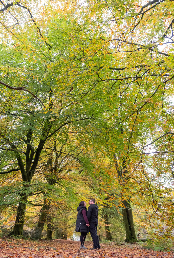 Wedding Photography UK Wide Autumnal Pre Wedding Shoot at Wentwood Forest 3 Wedding Photography UK Wide 003 AMPC Bristol Wedding Photographer 0107 Autumnal Pre Wedding Shoots Andrew Miller Photography Col